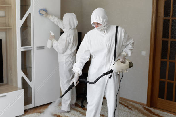 Mold Testing and Removal in Northlakes, NC