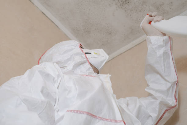 Home Mold Removal in Northlakes, NC