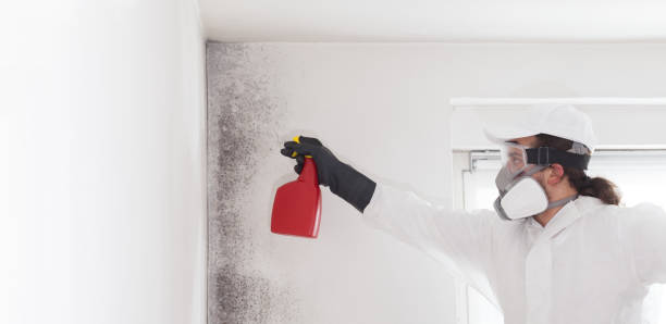 Best Commercial Mold Removal  in Northlakes, NC